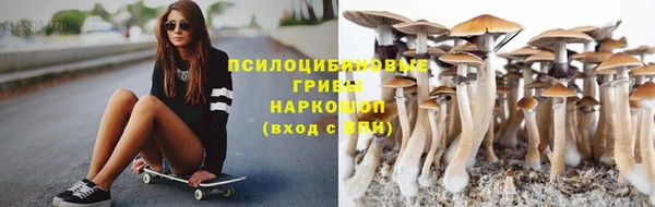 mix Бикин