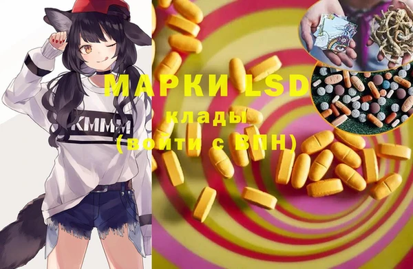эйфоретик Баксан