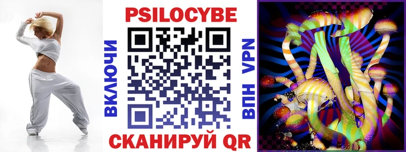 купить наркоту  Кувандык  Галлюциногенные грибы Psilocybine cubensis 